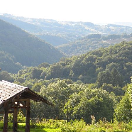Domaine Du Randier Vila Ferrières-sur-Sichon Exterior foto