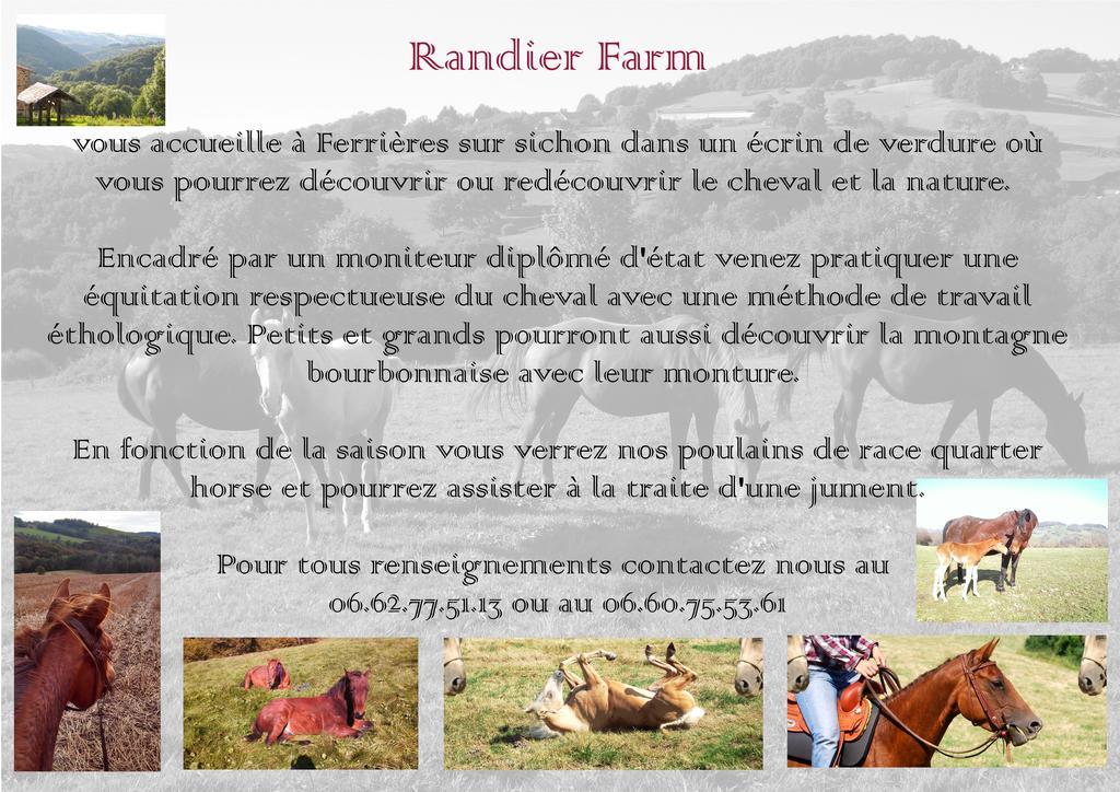 Domaine Du Randier Vila Ferrières-sur-Sichon Exterior foto