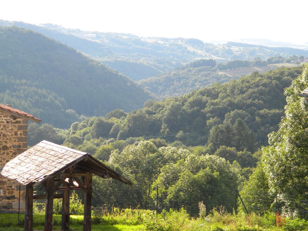Domaine Du Randier Vila Ferrières-sur-Sichon Exterior foto